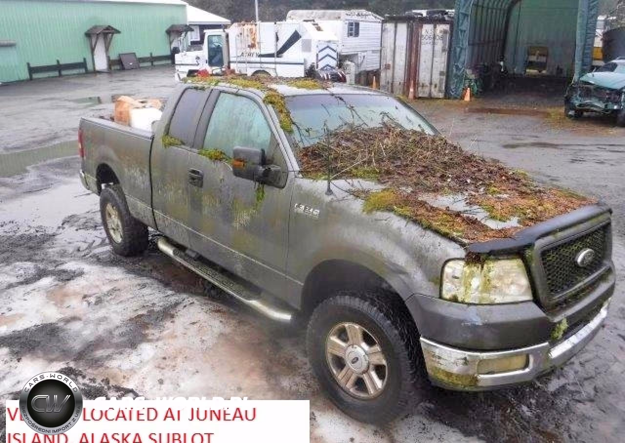2004 Ford F150 – zdjęcie 1 z 10