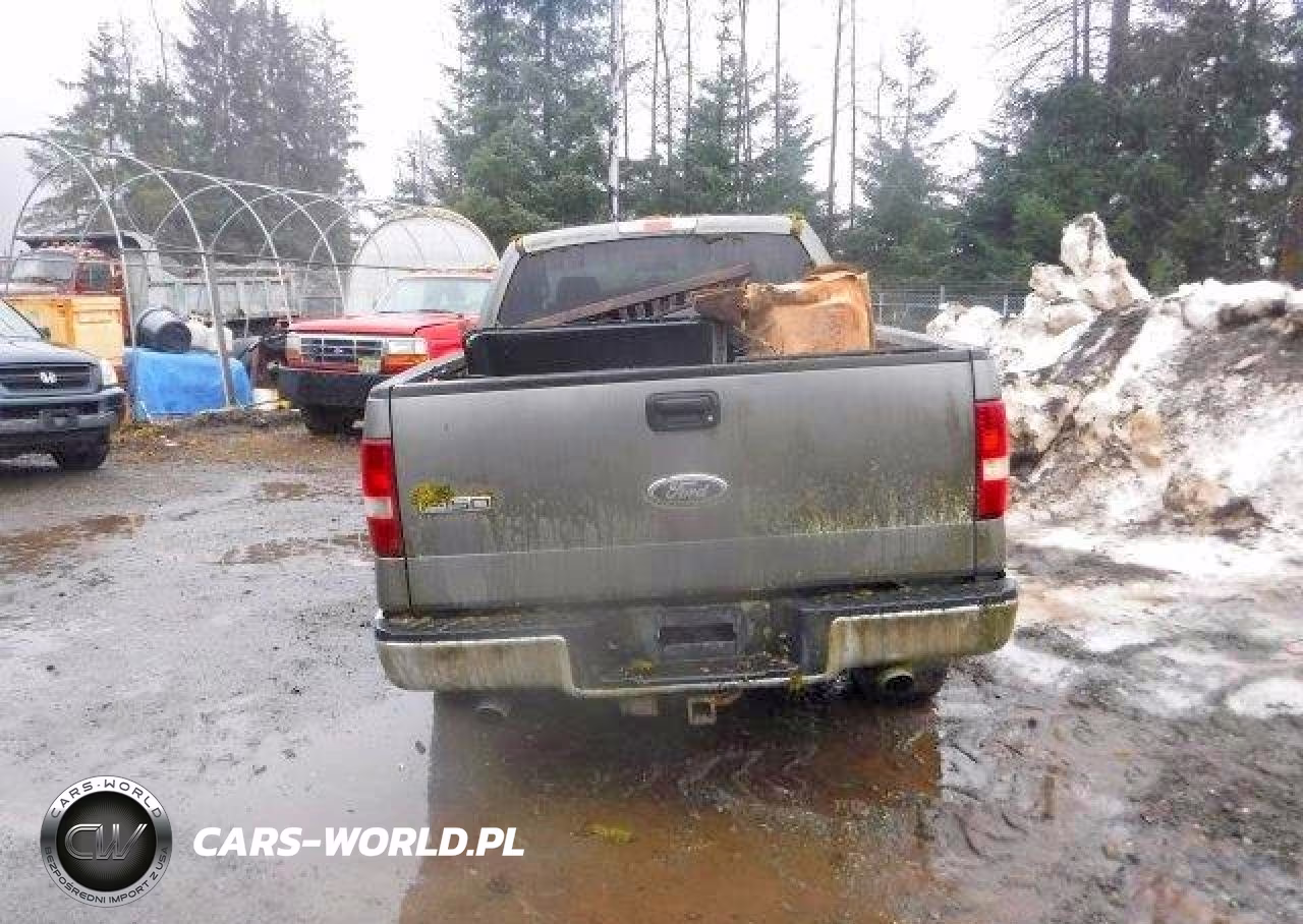 2004 Ford F150 VIN:1FTPX14554NA28570 - 10