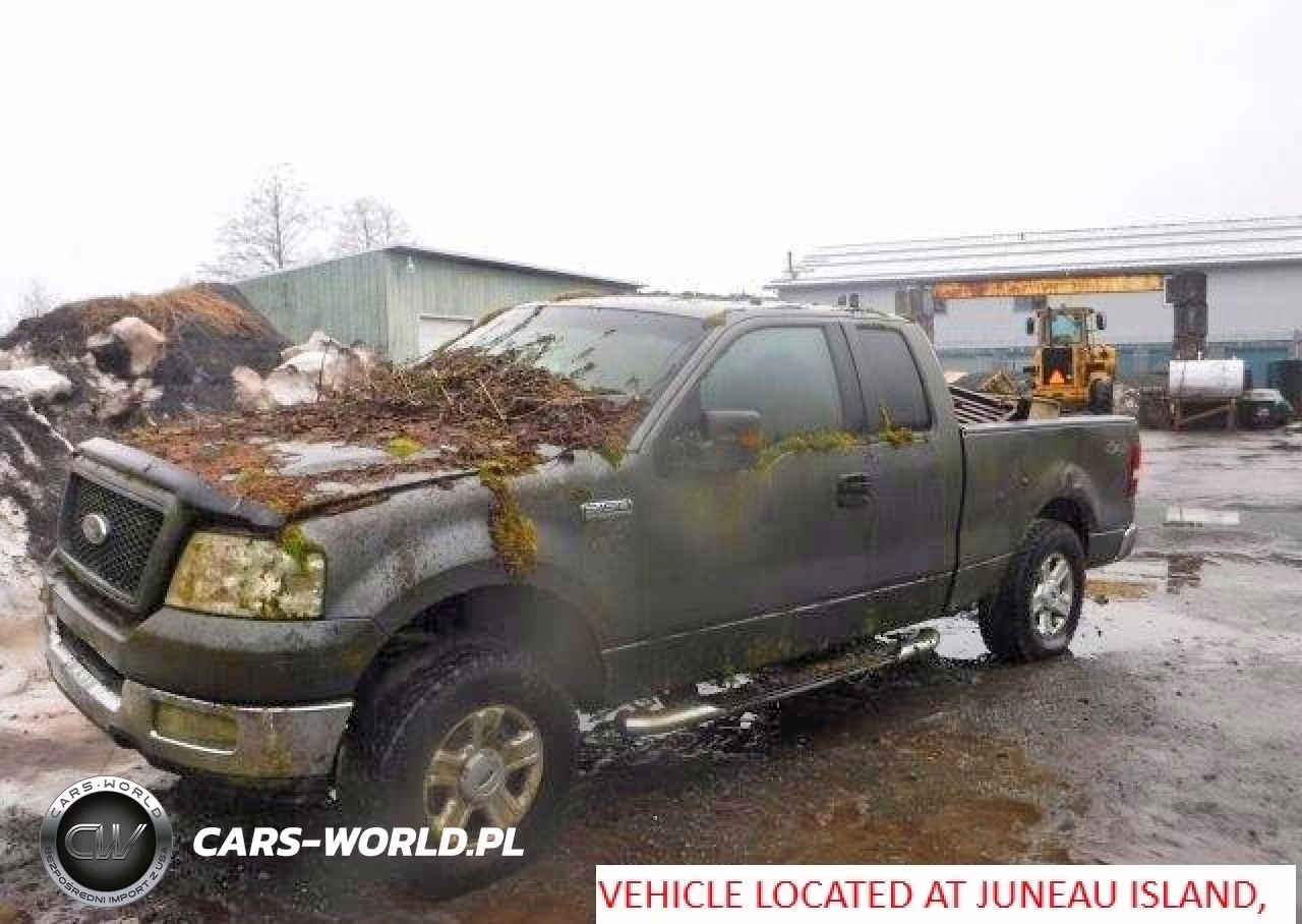 2004 Ford F150 VIN:1FTPX14554NA28570 - 2