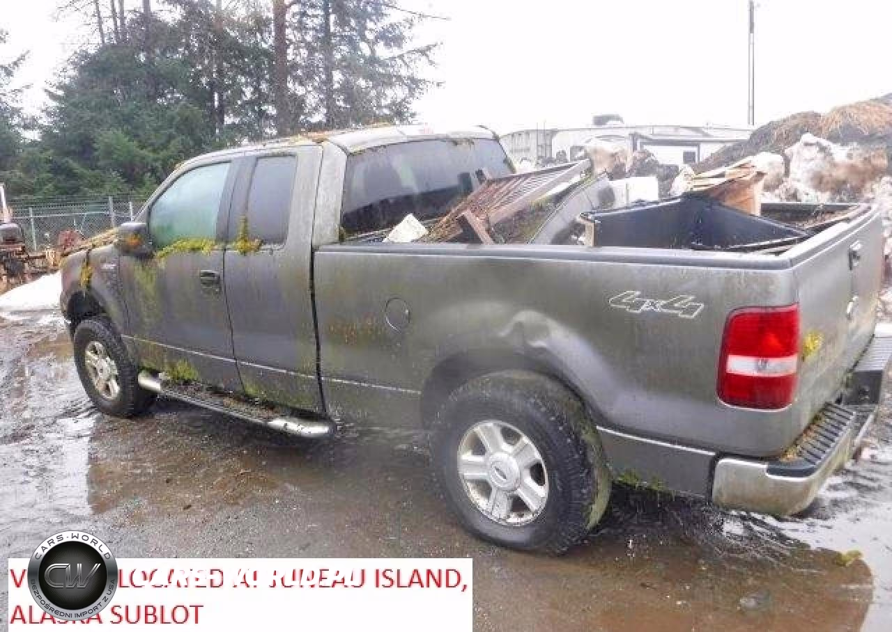 2004 Ford F150 VIN:1FTPX14554NA28570 - 3