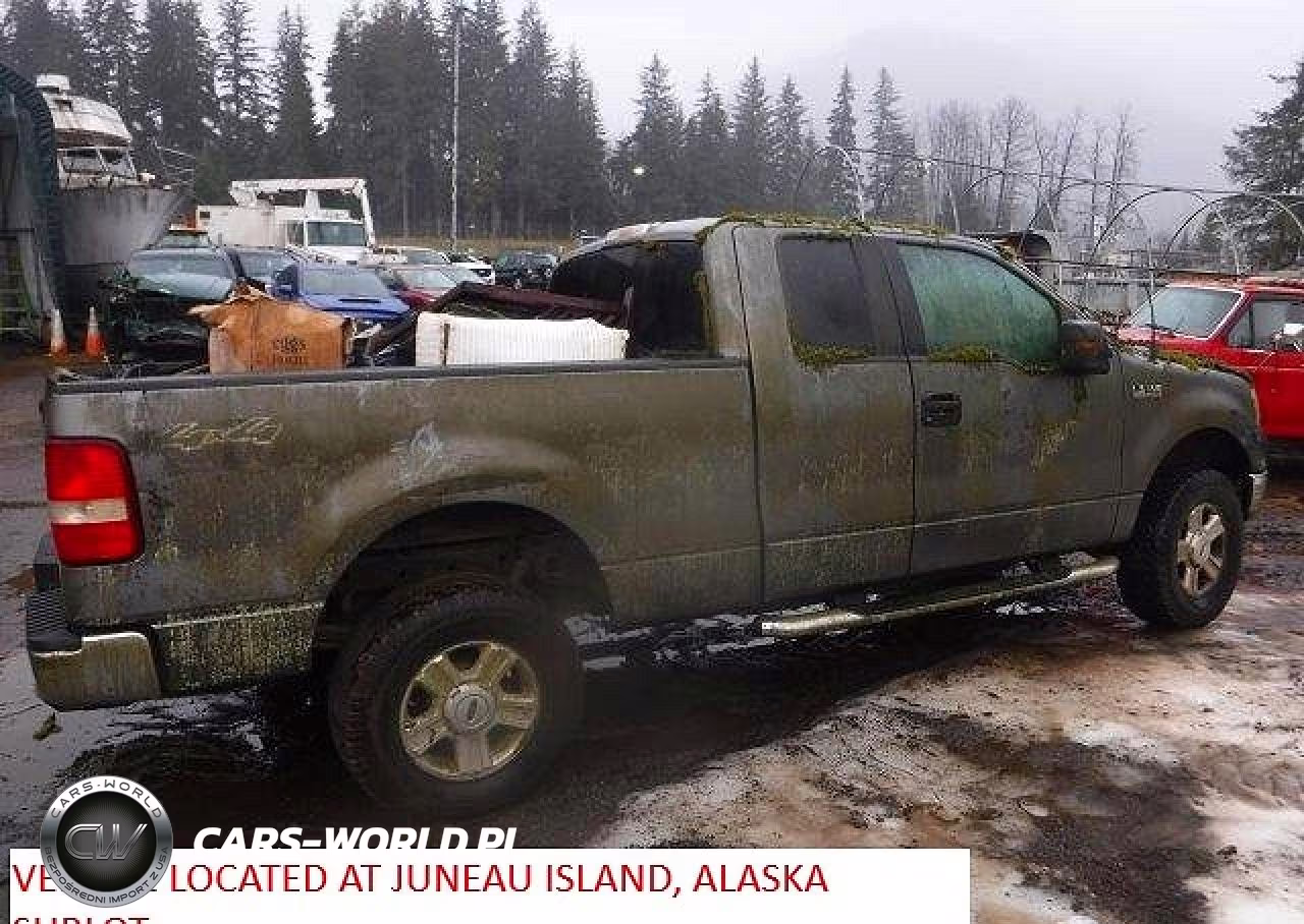 2004 Ford F150 VIN:1FTPX14554NA28570 - 4