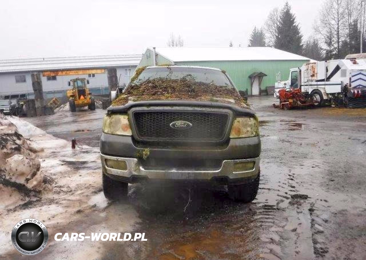 2004 Ford F150 VIN:1FTPX14554NA28570 - 9