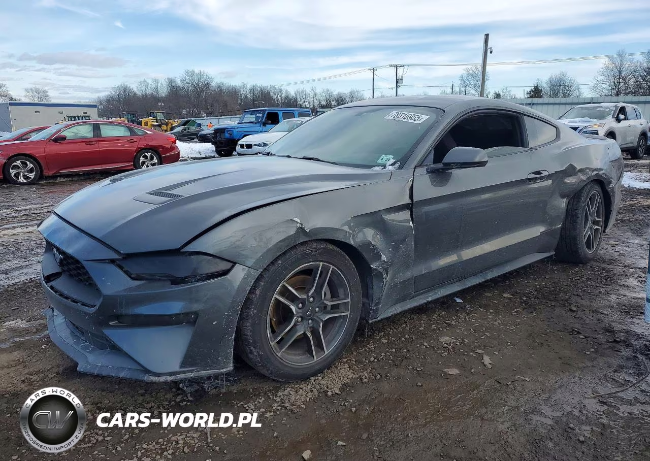 2019 Ford Mustang