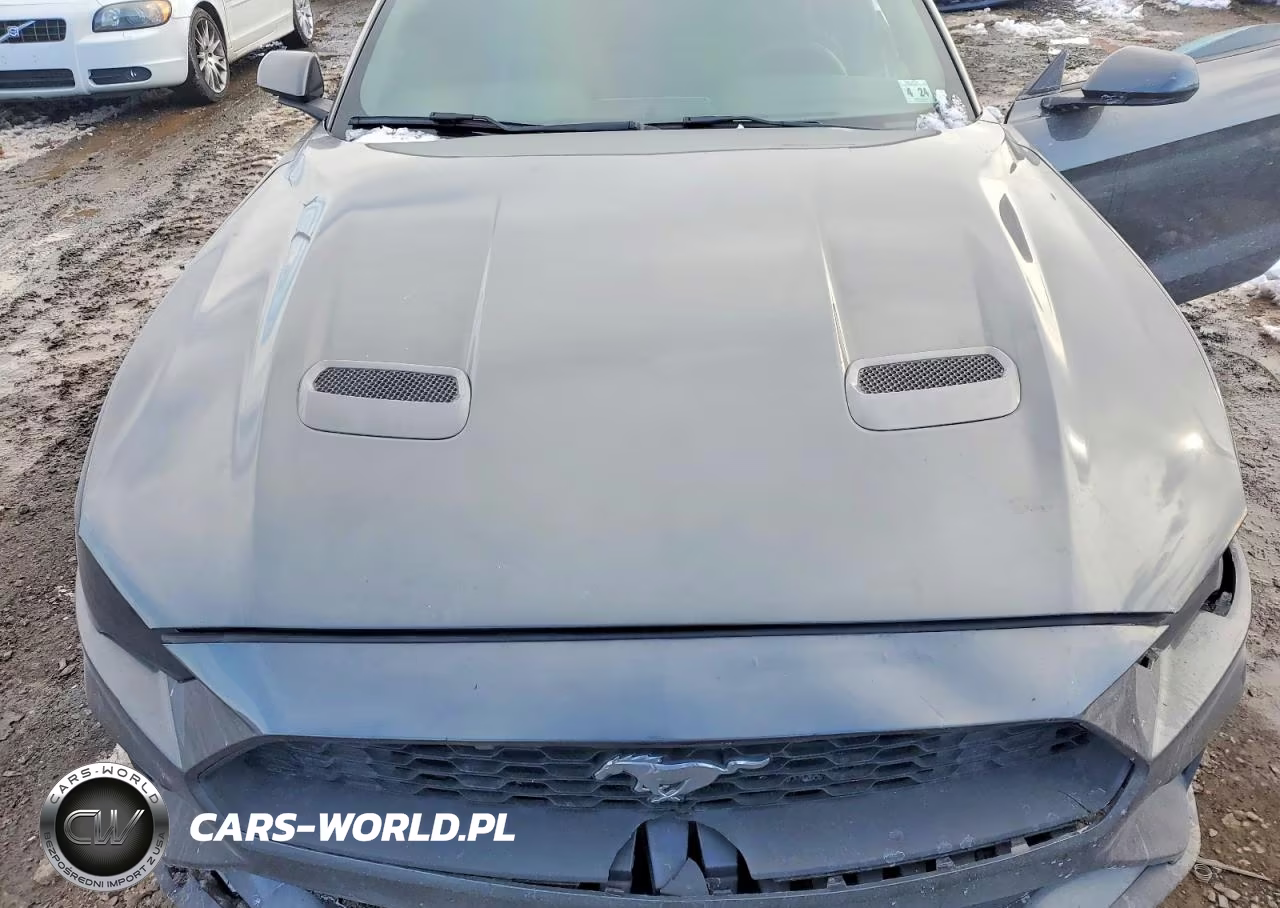 2019 Ford Mustang VIN:1FA6P8TH5K5173286 - 11