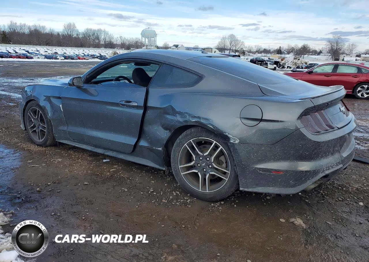 2019 Ford Mustang VIN:1FA6P8TH5K5173286 - 2