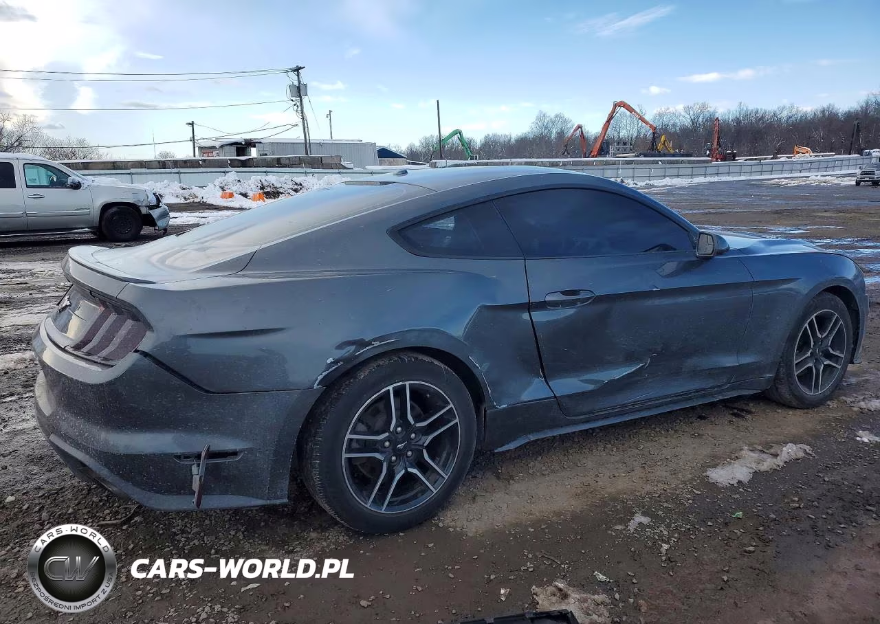 2019 Ford Mustang VIN:1FA6P8TH5K5173286 - 3