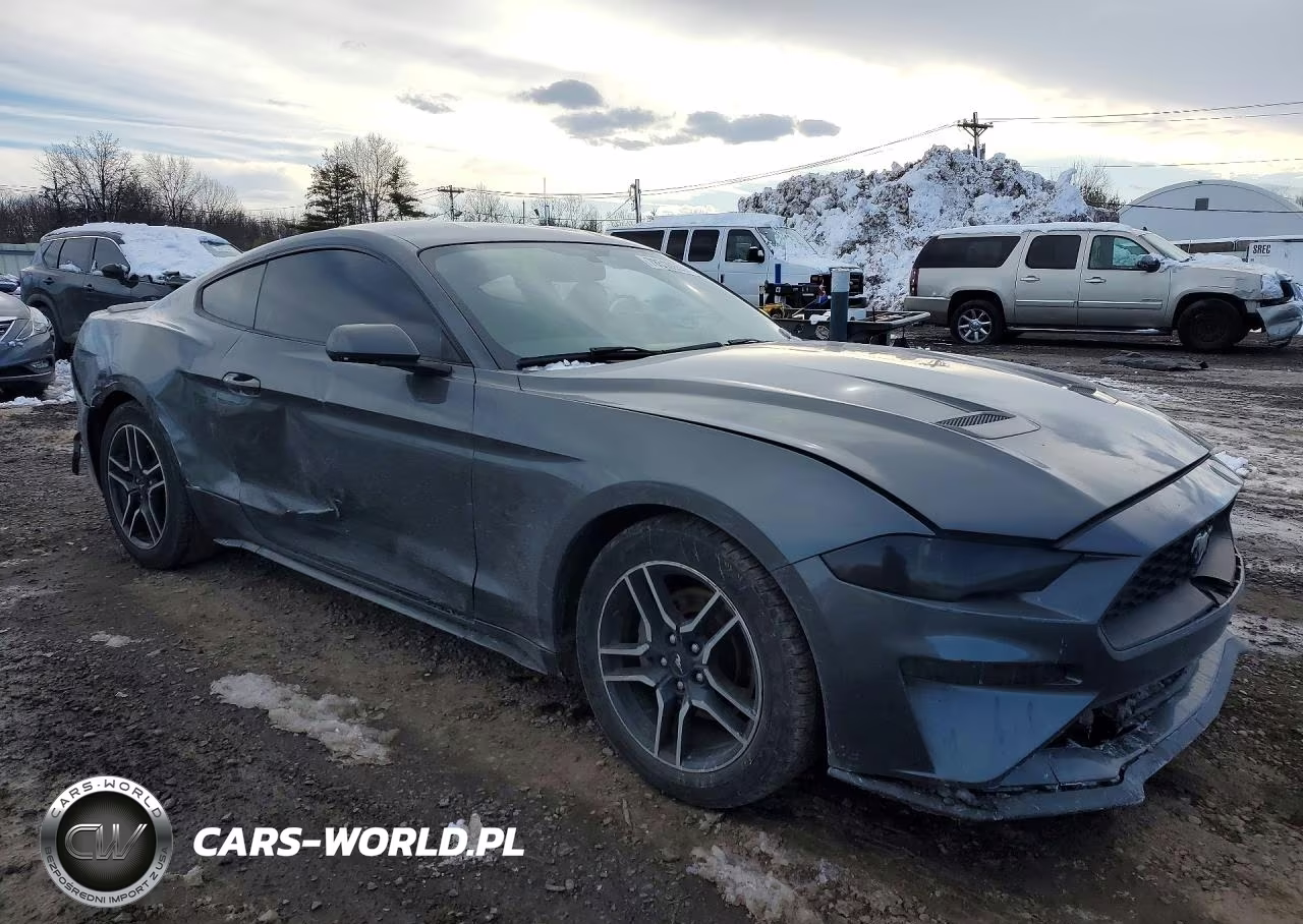 2019 Ford Mustang VIN:1FA6P8TH5K5173286 - 4