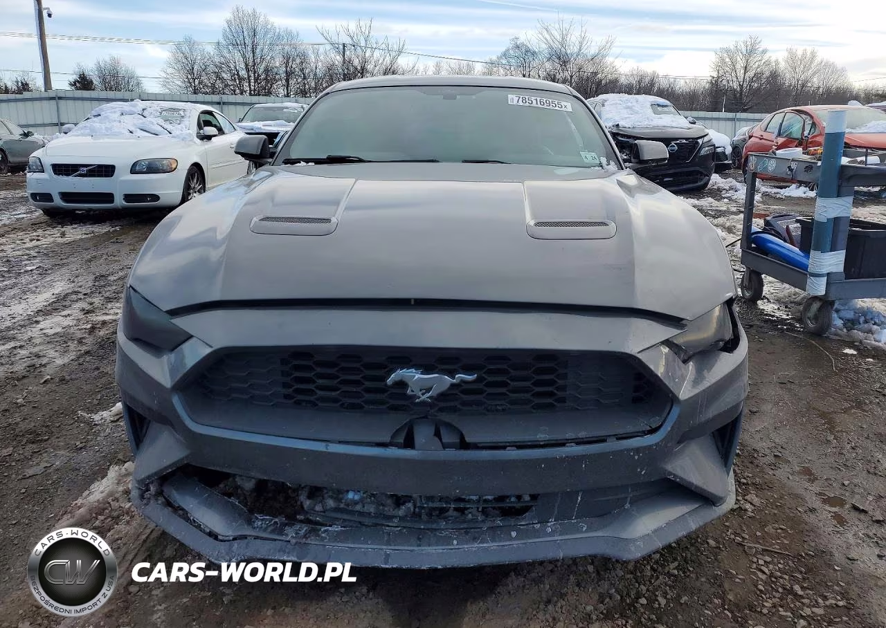 2019 Ford Mustang VIN:1FA6P8TH5K5173286 - 5