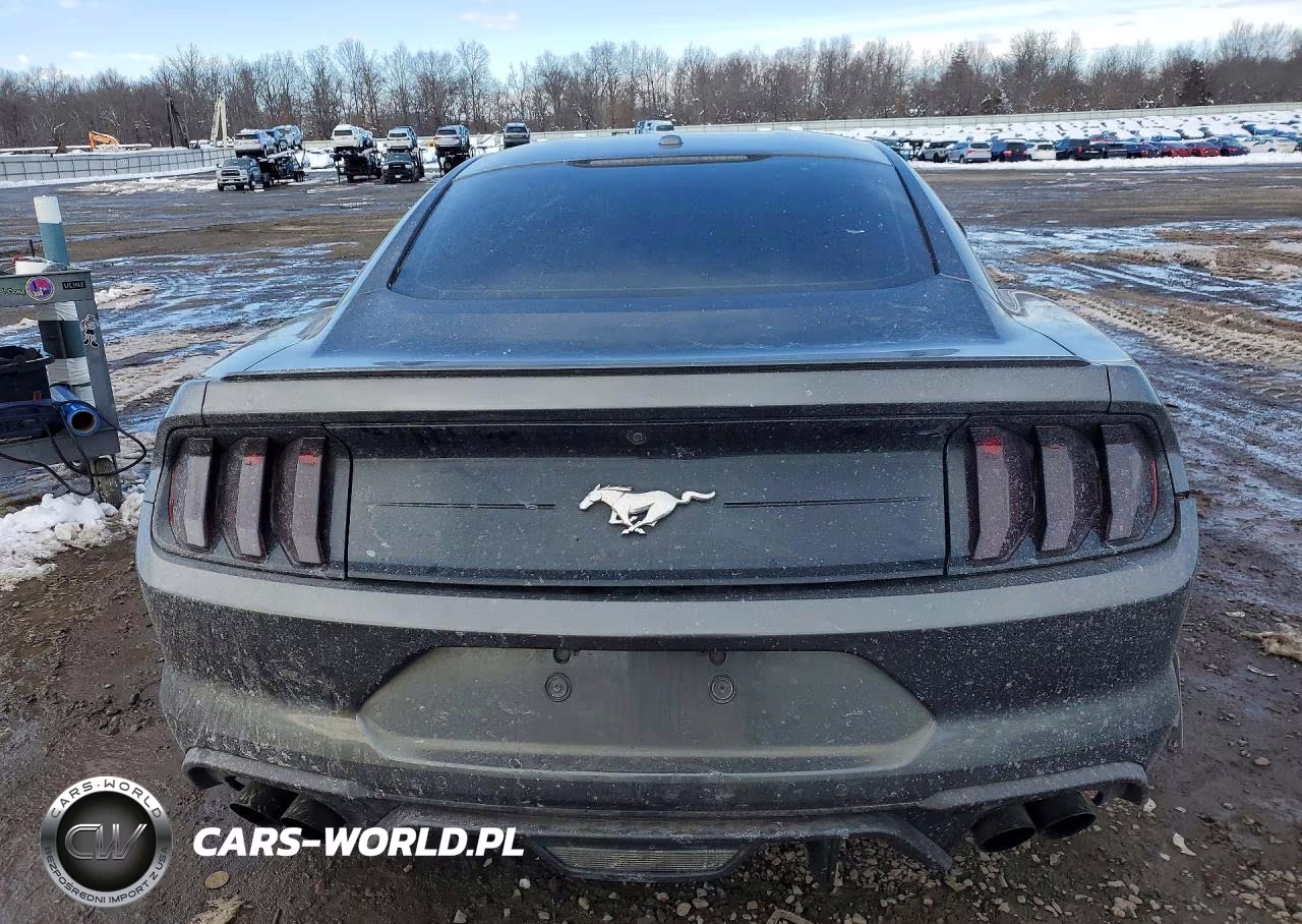 2019 Ford Mustang VIN:1FA6P8TH5K5173286 - 6