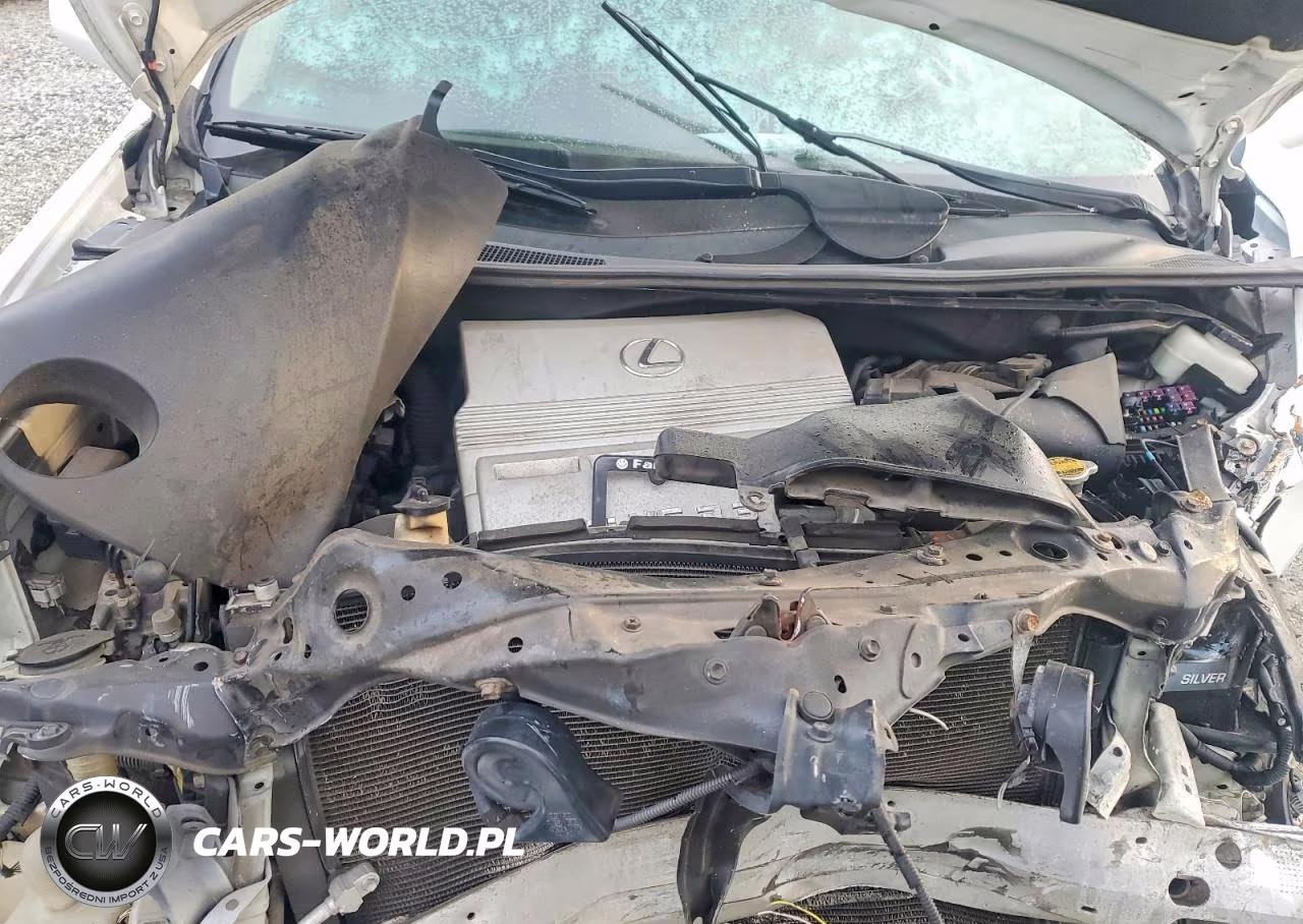 2005 Lexus Rx 330 Base VIN:2T2HA31U65C065012 - 11