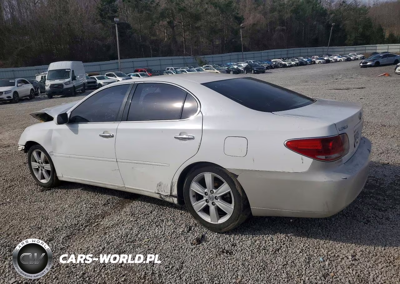 2005 Lexus Es 330 VIN:JTHBA30G955102670 - 2