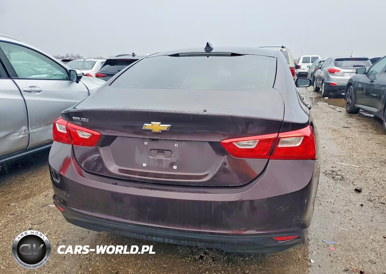 2020 Chevrolet Malibu Ls VIN:1G1ZB5ST5LF119808 - 6