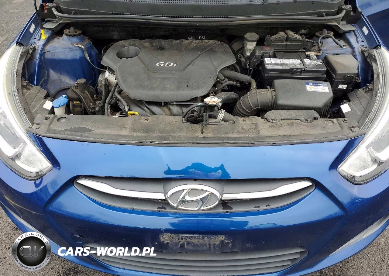 2016 Hyundai Accent Se VIN:KMHCT5AE4GU255552 - 11