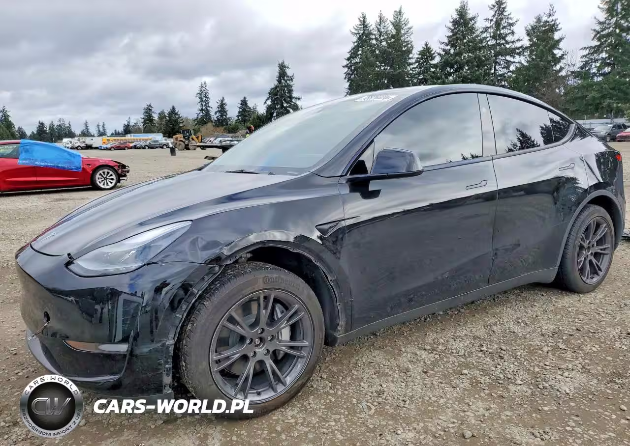 2025 Tesla Model Y