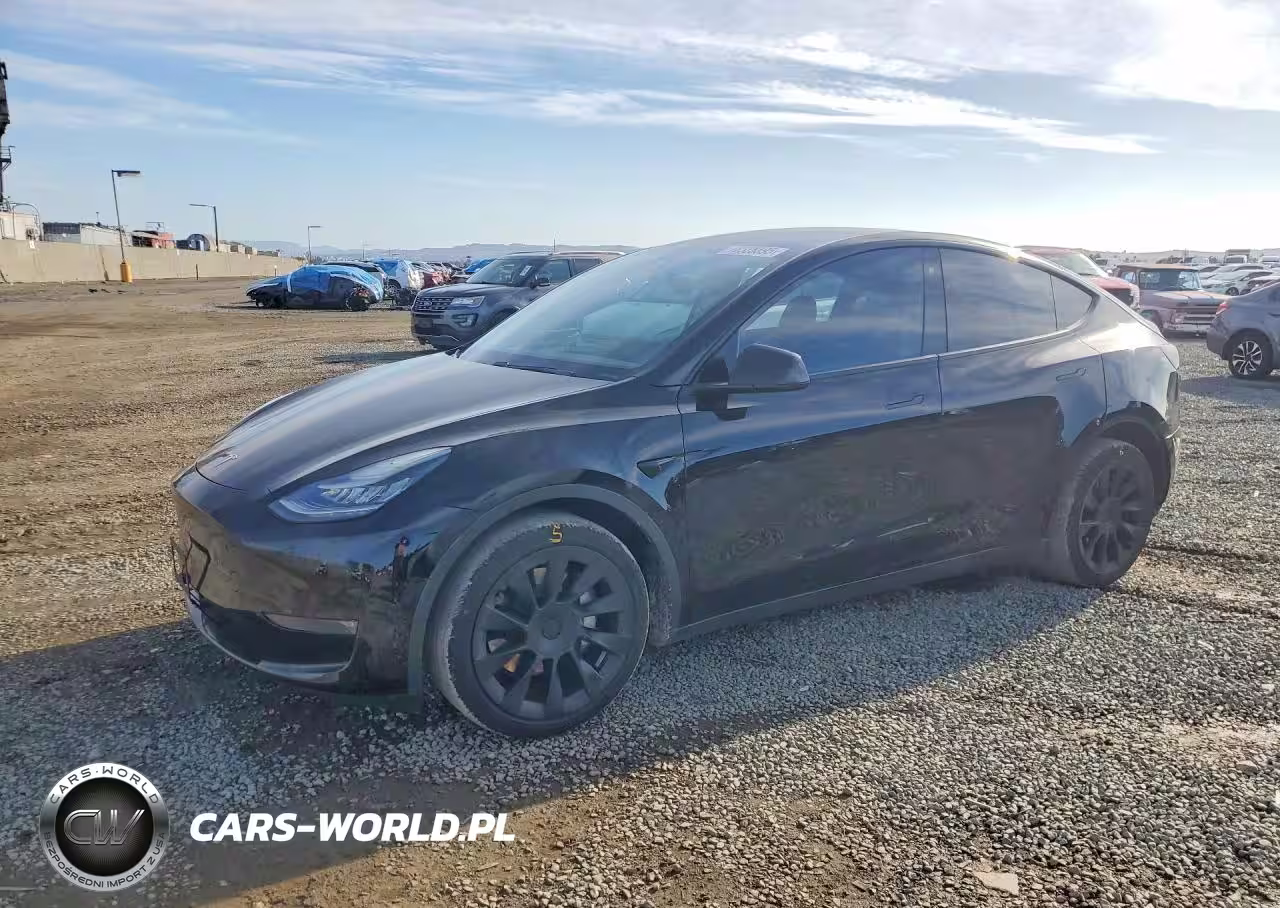 2020 Tesla Model Y