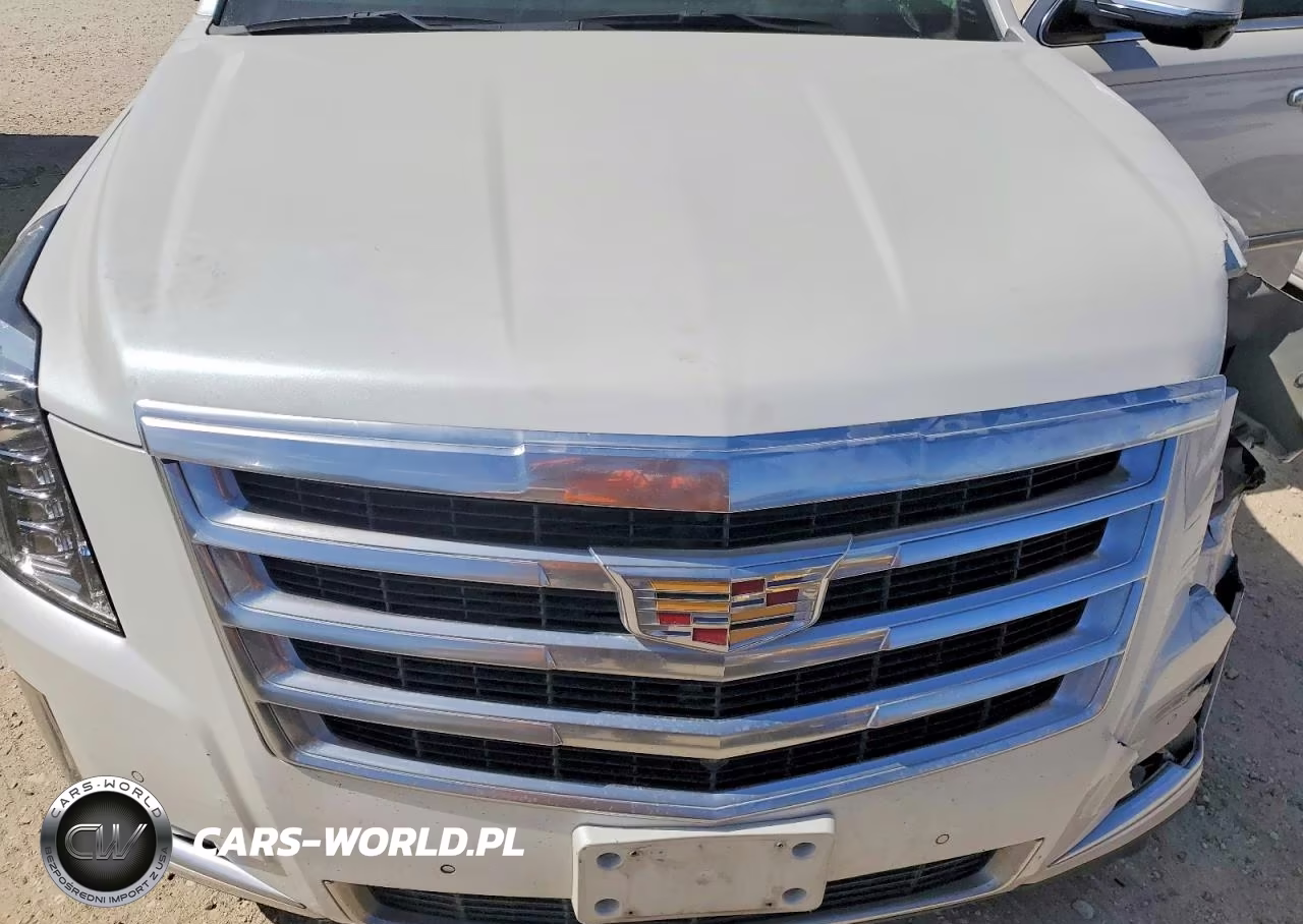 2016 Cadillac Escalade Luxury VIN:1GYS3BKJXGR359289 - 12