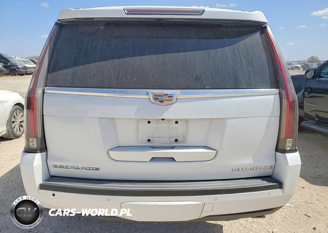2016 Cadillac Escalade Luxury VIN:1GYS3BKJXGR359289 - 6