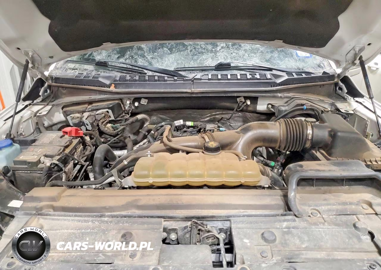 2019 Ford F150 Supercrew VIN:1FTEW1EP8KKC79544 - 11