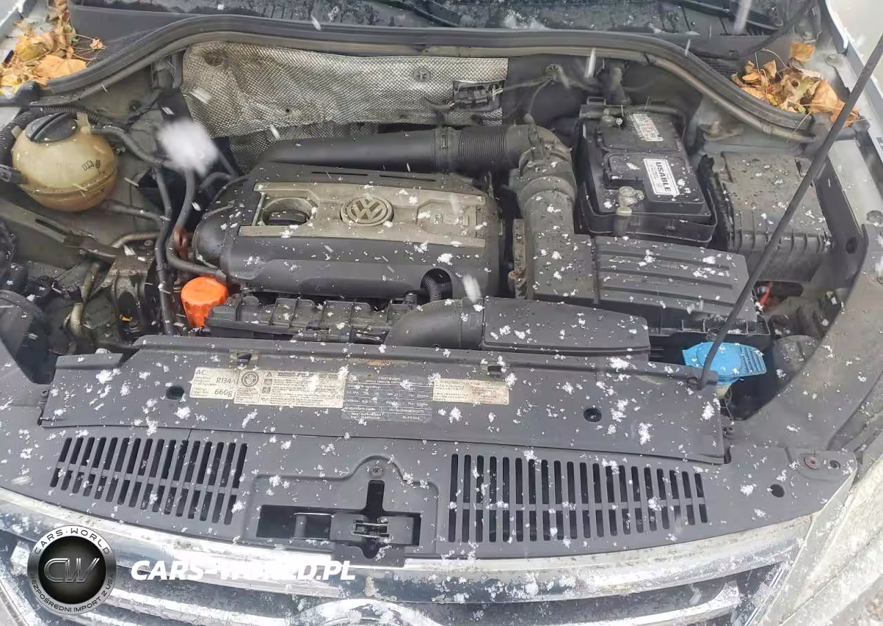 2011 Volkswagen Tiguan S VIN:WVGAV7AXXBW539831 - 12