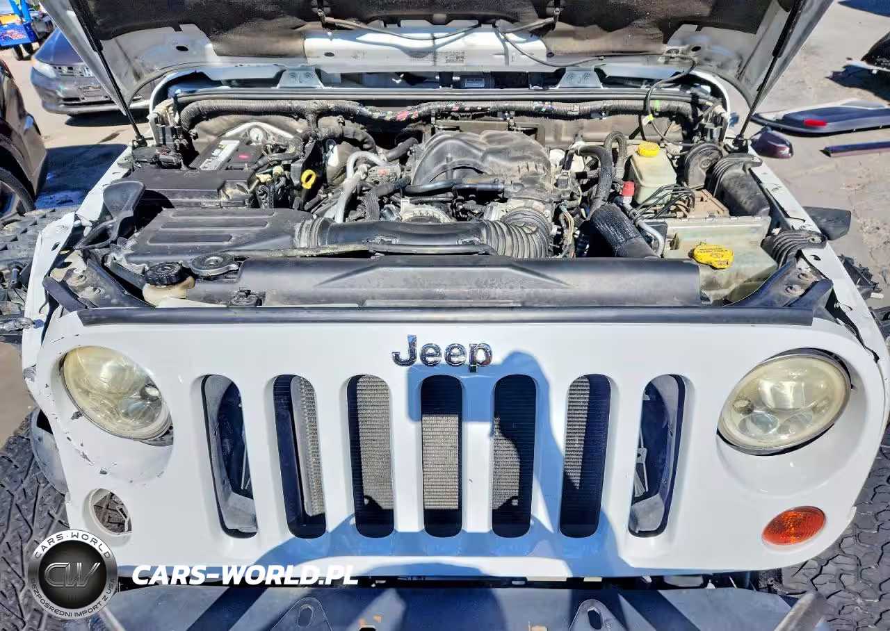 2013 Jeep Wrangler Rubicon VIN:1C4BJWCG6DL569313 - 12