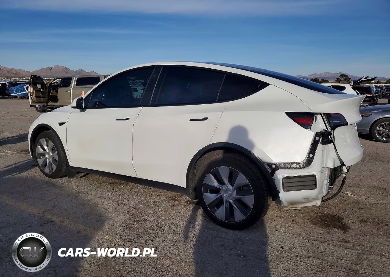 2022 Tesla Model Y VIN:7SAYGAEE0NF339751 - 2