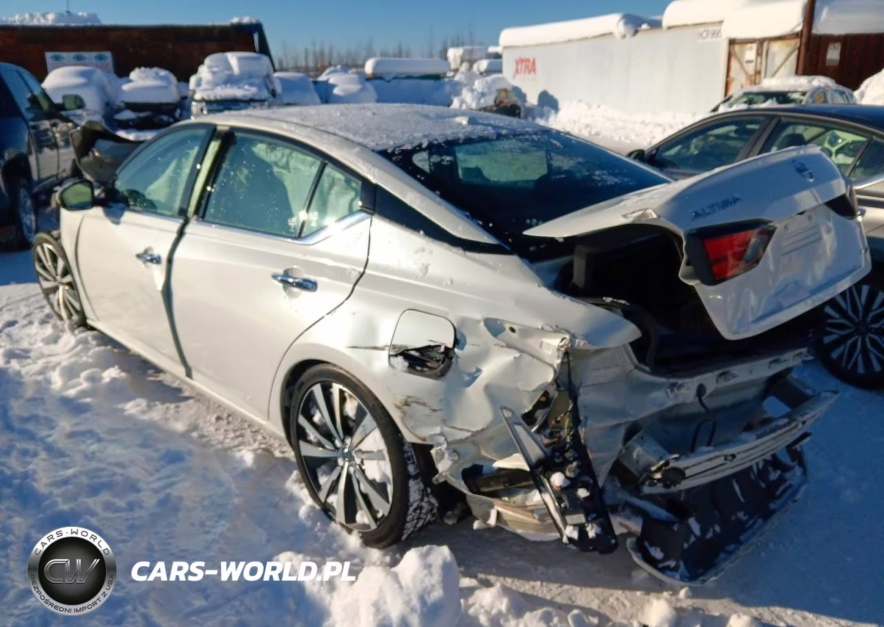 2020 Niss Altima Platinum VIN:1N4AL4FV8LC139324 - 2