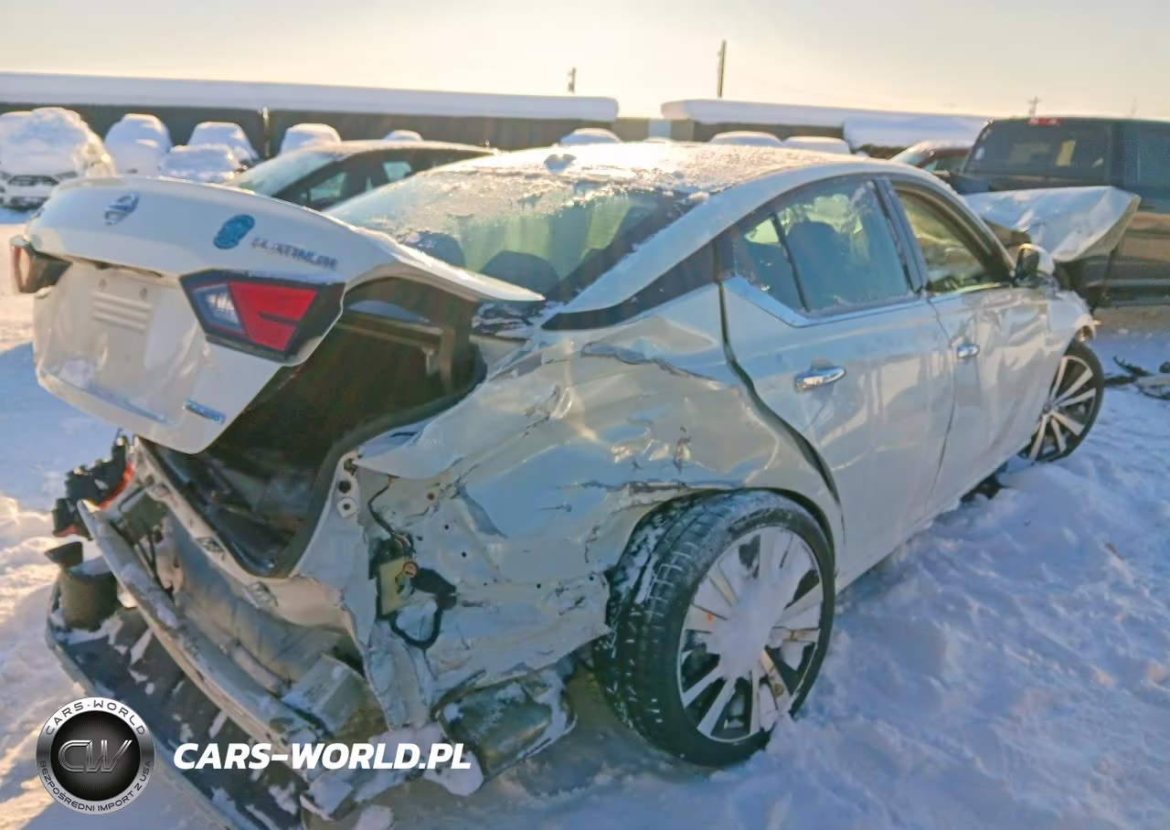 2020 Niss Altima Platinum VIN:1N4AL4FV8LC139324 - 3