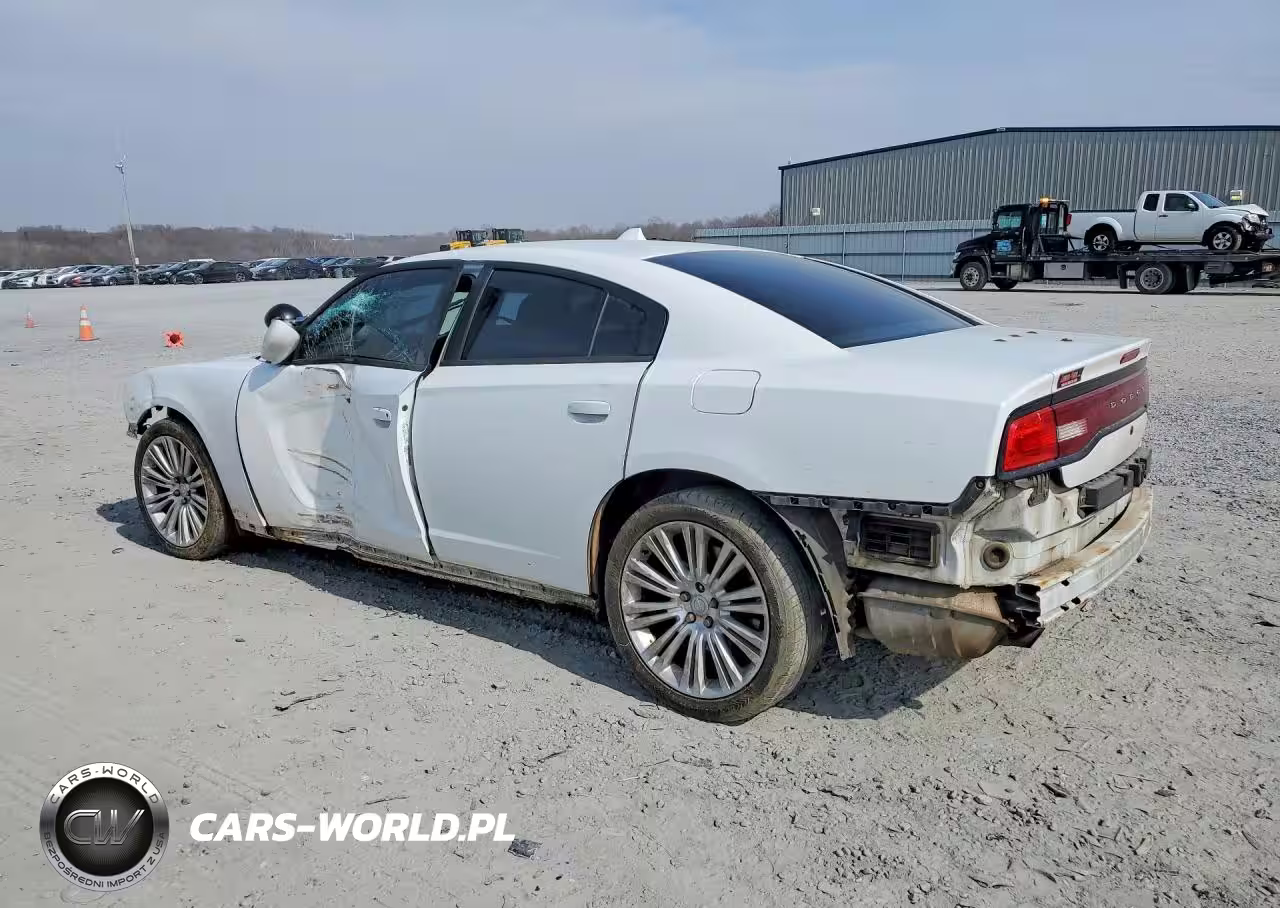 2013 Dodge Charger Police VIN:2C3CDXAT0DH713036 - 2