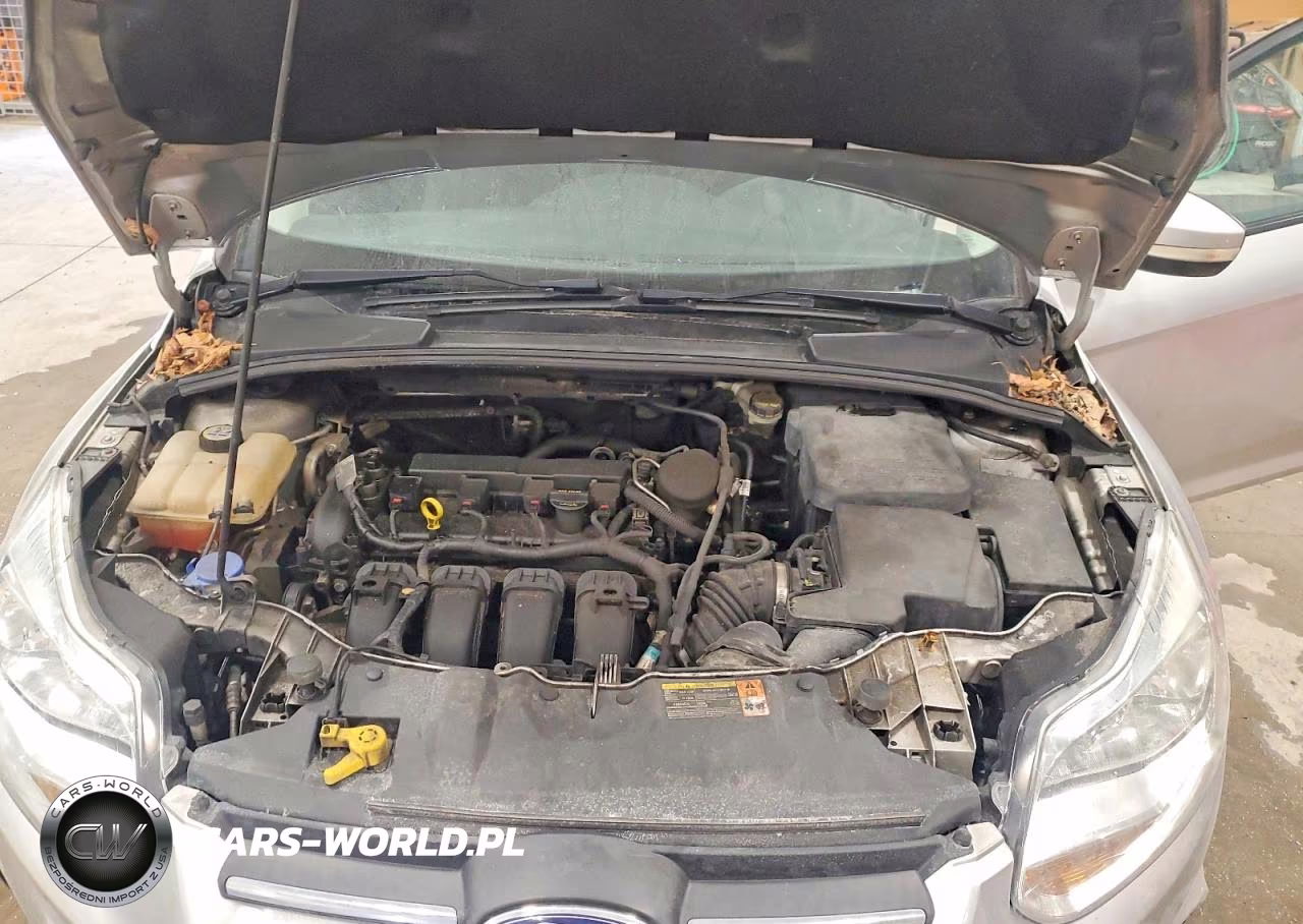 2013 Ford Focus Se VIN:1FADP3F26DL260825 - 11