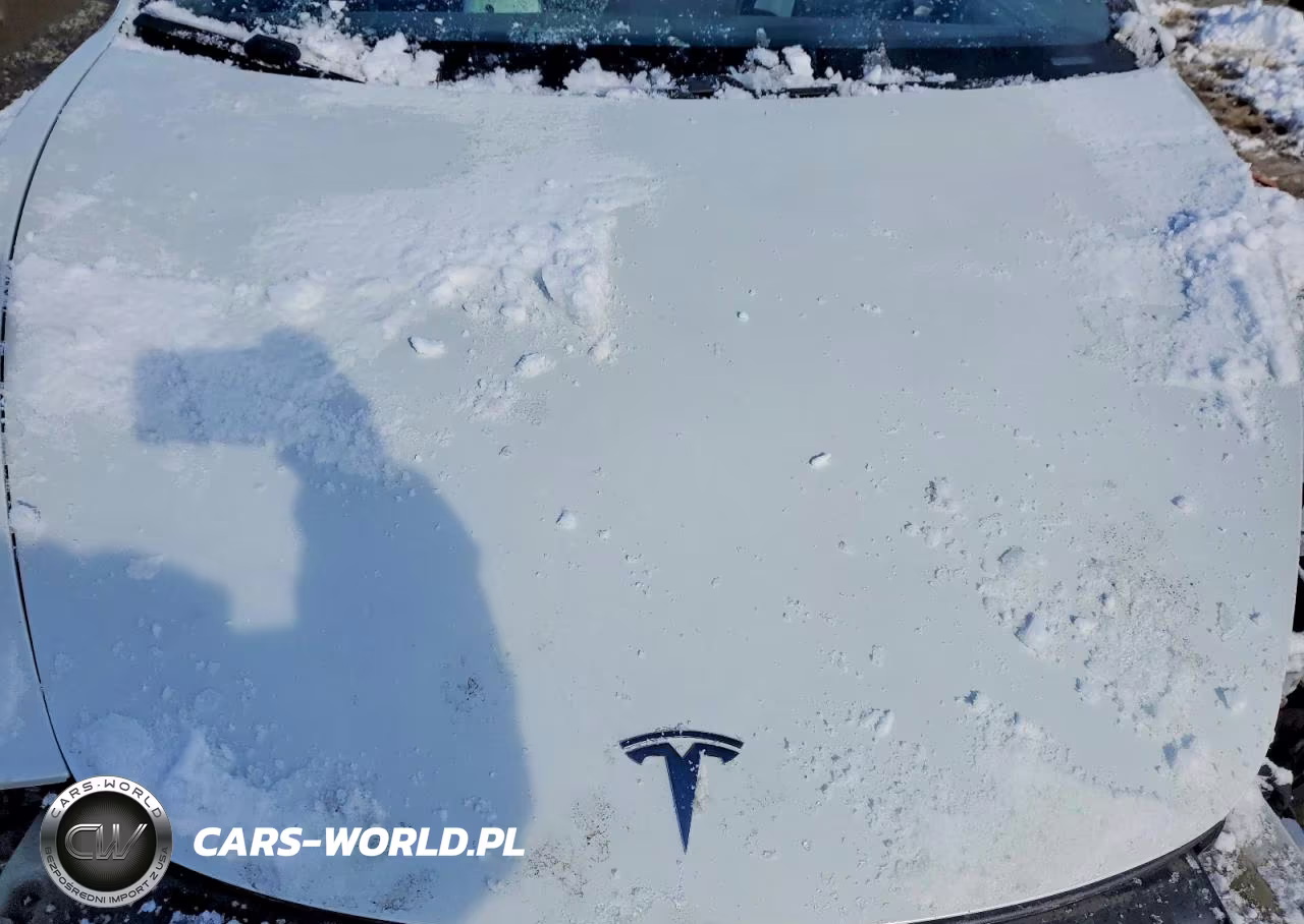 2020 Tesla Model 3 VIN:5YJ3E1EA0LF785065 - 11