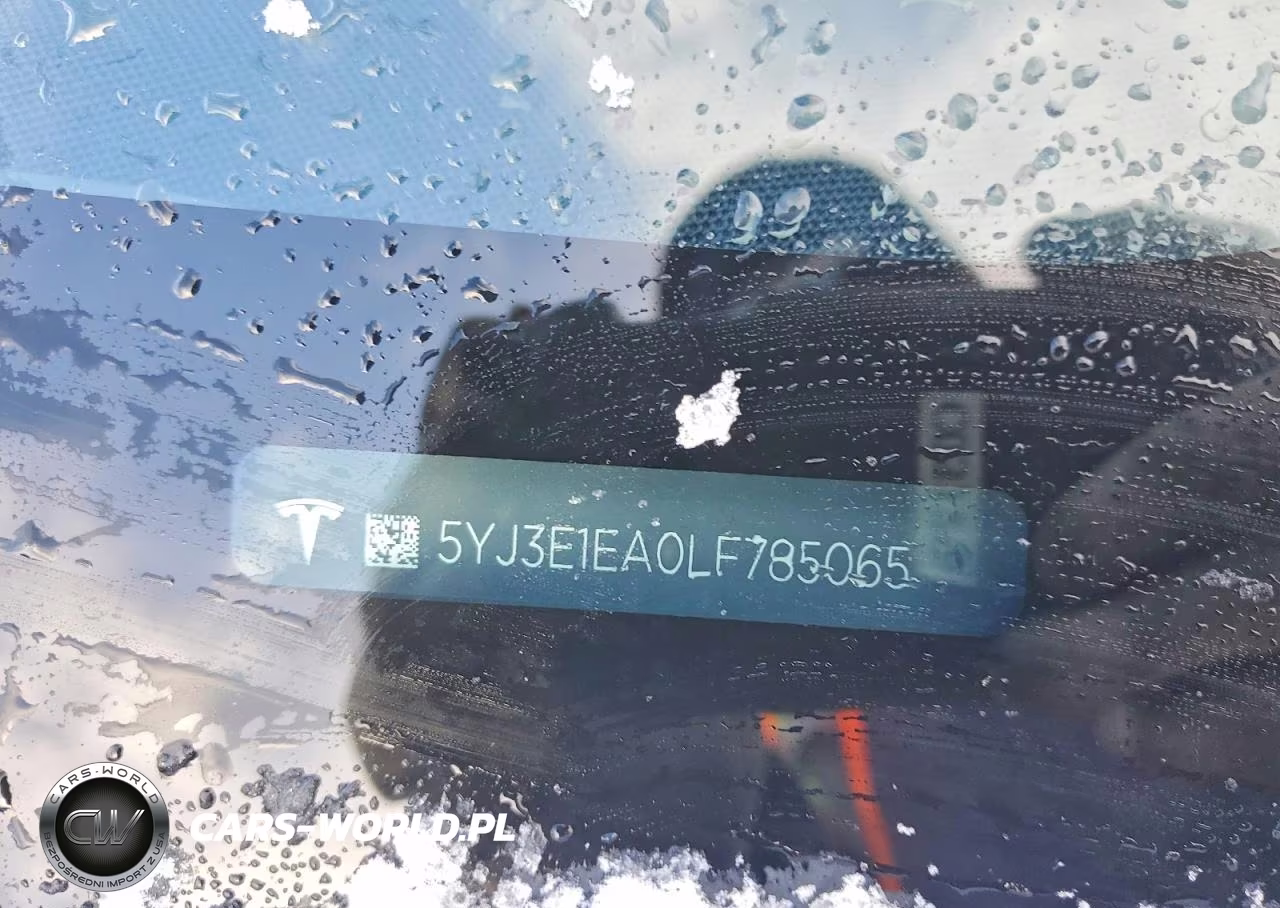 2020 Tesla Model 3 VIN:5YJ3E1EA0LF785065 - 12