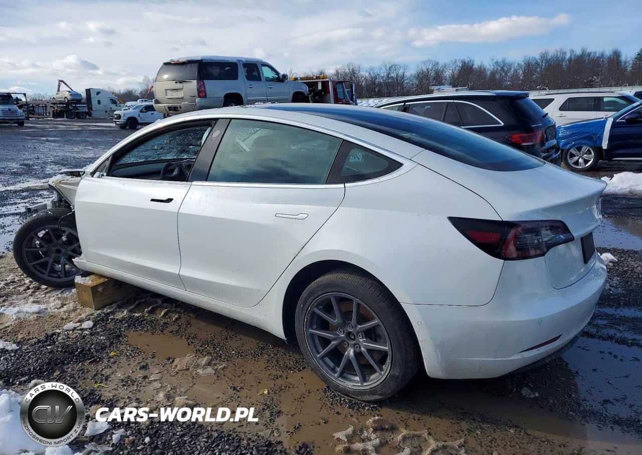 2020 Tesla Model 3 VIN:5YJ3E1EA0LF785065 - 2