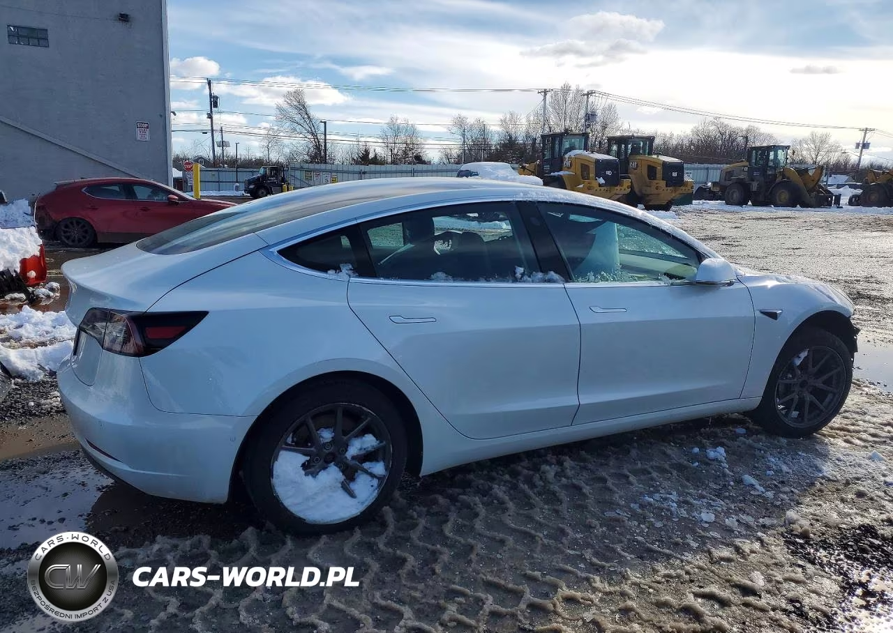 2020 Tesla Model 3 VIN:5YJ3E1EA0LF785065 - 3