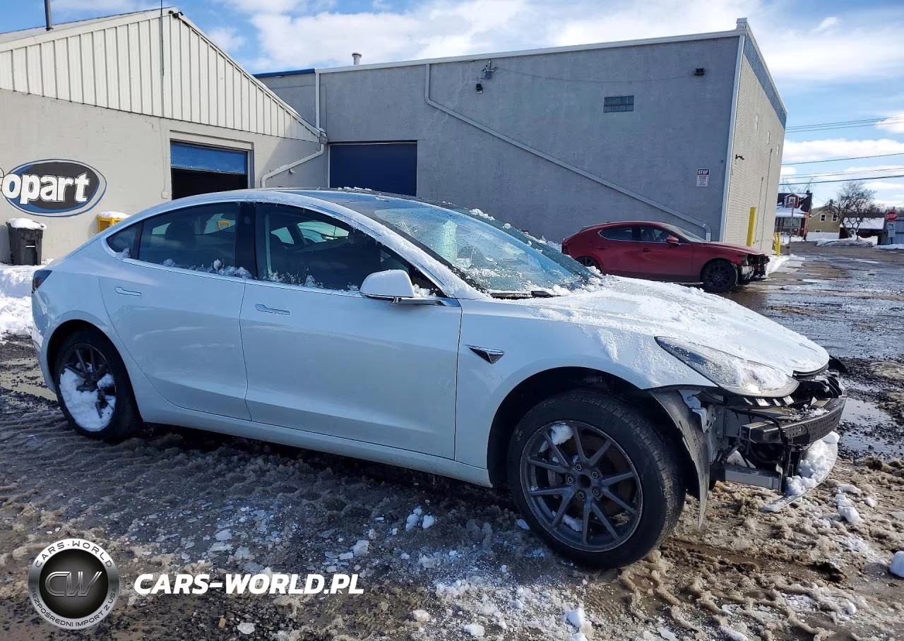 2020 Tesla Model 3 VIN:5YJ3E1EA0LF785065 - 4