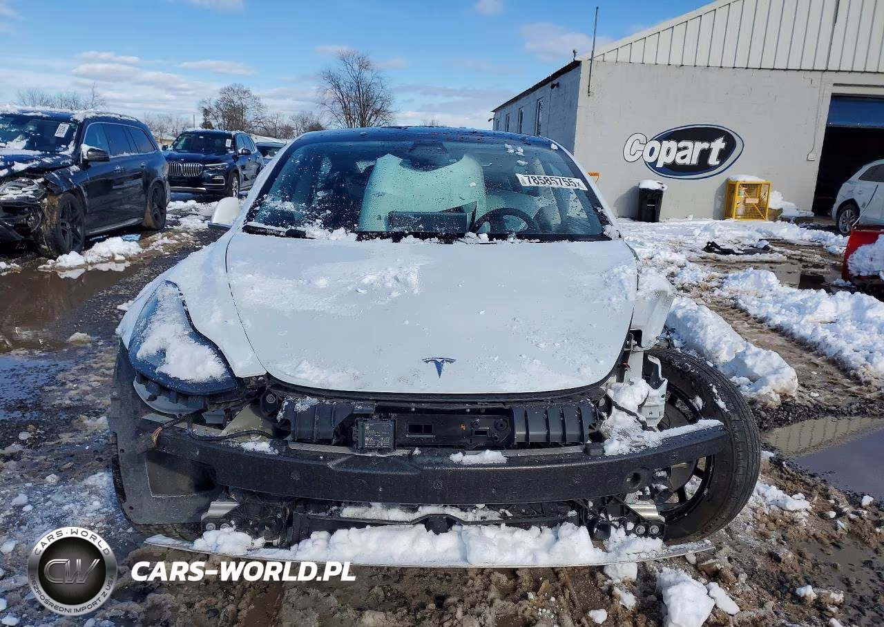 2020 Tesla Model 3 VIN:5YJ3E1EA0LF785065 - 5