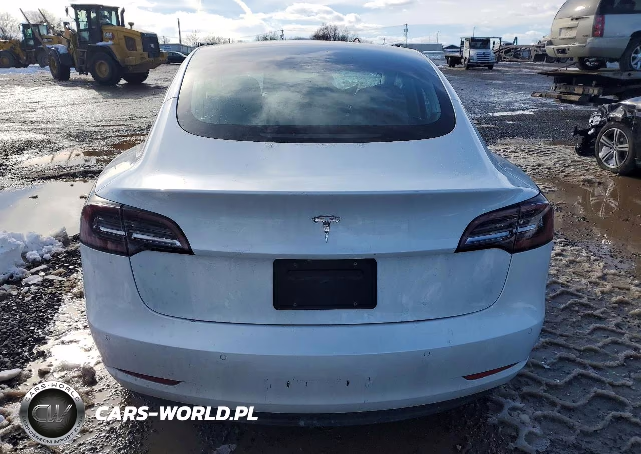 2020 Tesla Model 3 VIN:5YJ3E1EA0LF785065 - 6