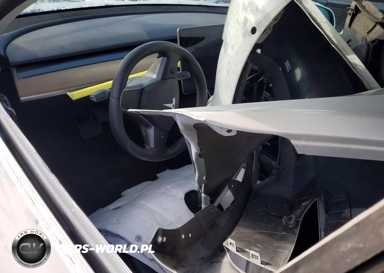 2020 Tesla Model 3 VIN:5YJ3E1EA0LF785065 - 8