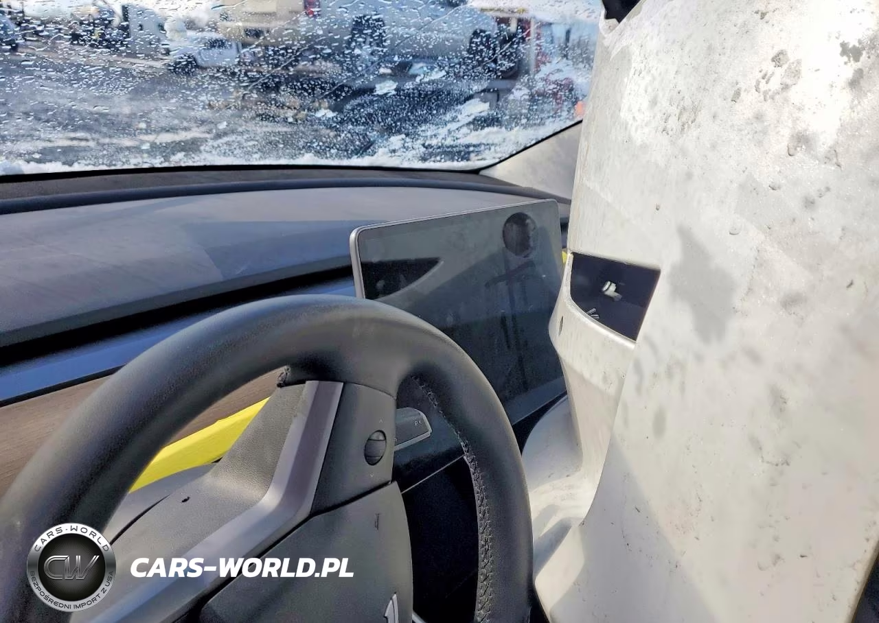 2020 Tesla Model 3 VIN:5YJ3E1EA0LF785065 - 9