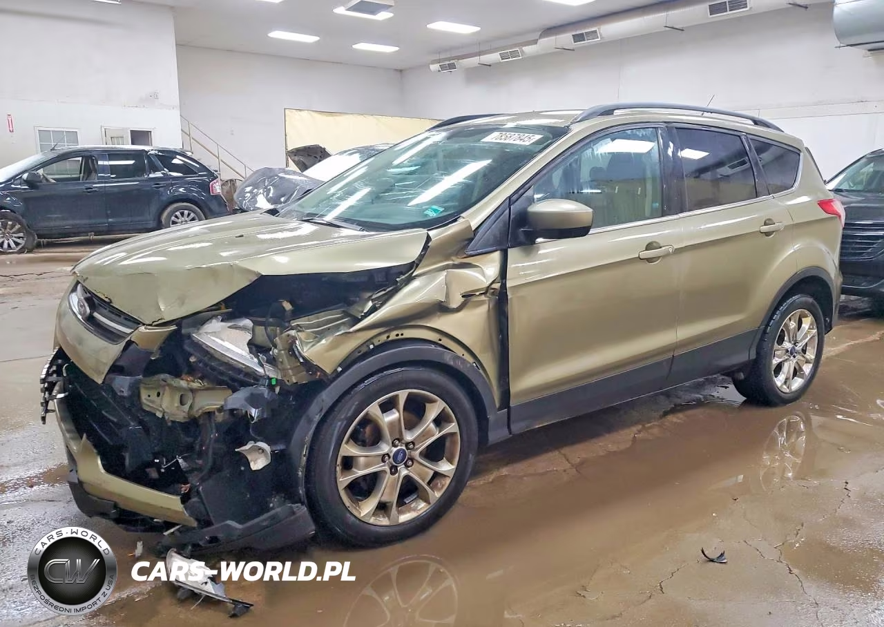 2014 Ford Escape Se