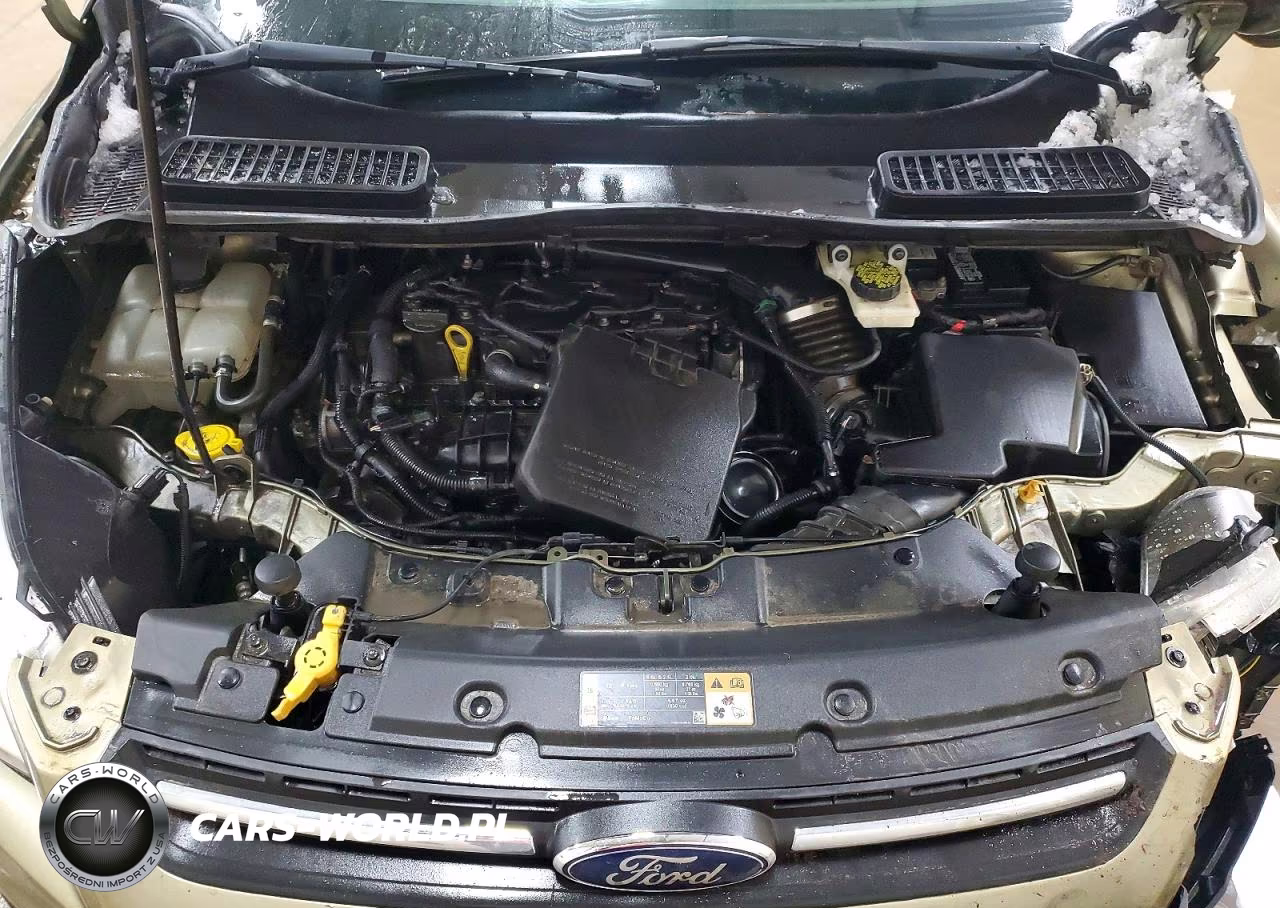 2014 Ford Escape Se VIN:1FMCU0GX4EUA76062 - 12