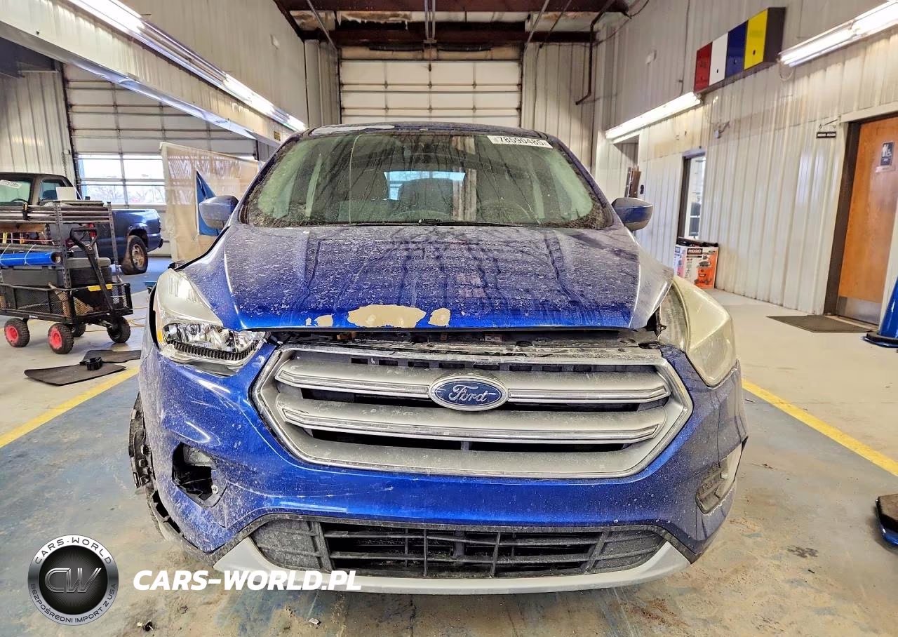 2017 Ford Escape Se VIN:1FMCU0GDXHUD77669 - 5