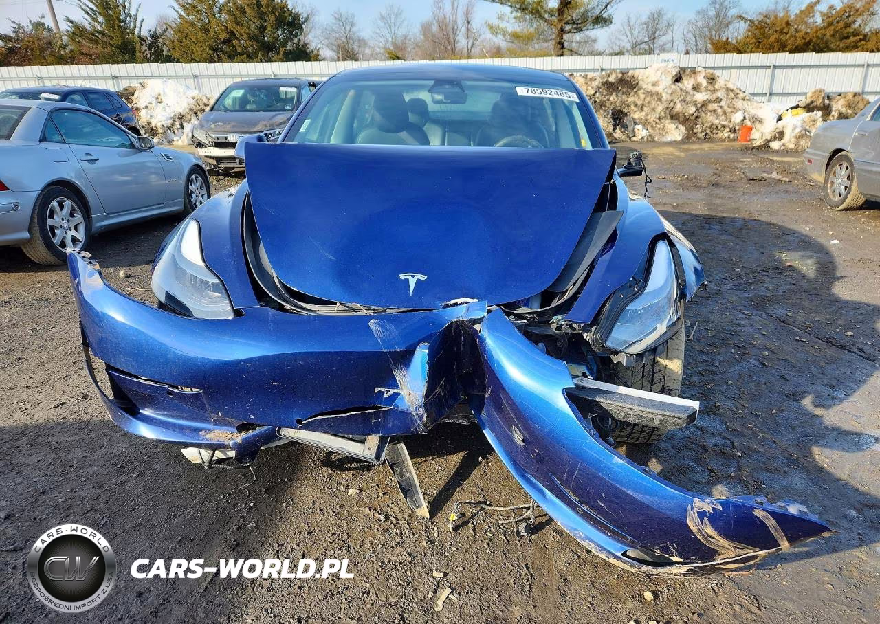 2022 Tesla Model 3 VIN:5YJ3E1EA5NF142696 - 5