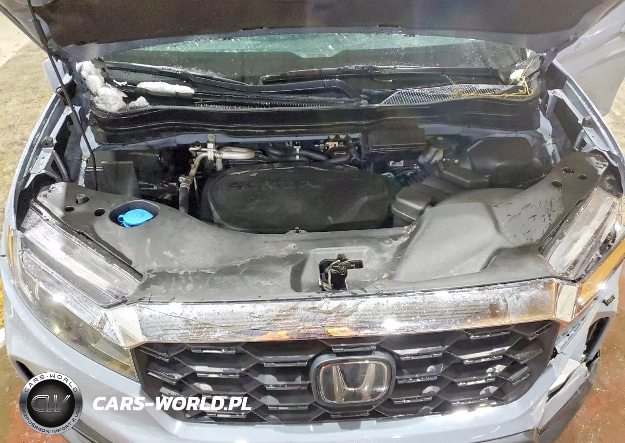 2024 Honda Passport Exl VIN:5FNYF8H58RB023802 - 12