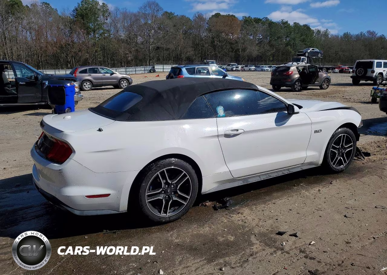 2020 Ford Mustang Gt VIN:1FATP8FF9L5143058 - 3