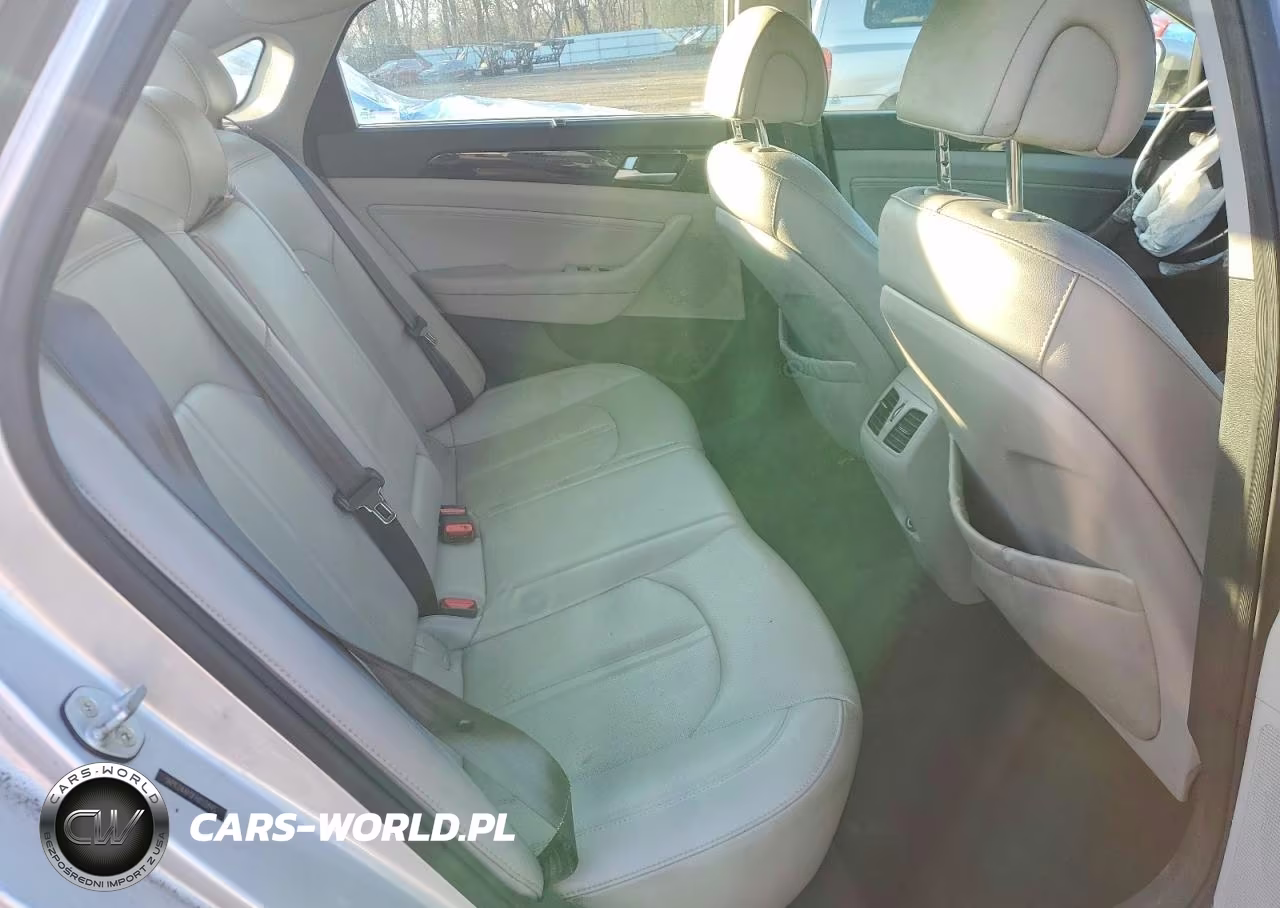 2015 Hyundai Sonata Sport VIN:5NPE34AF0FH052845 - 10