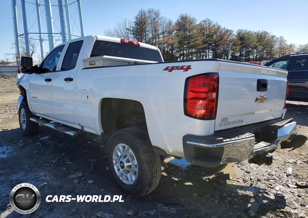 2019 Chevrolet Silverado K2500 Heavy Duty VIN:2GC2KREG8K1238506 - 2