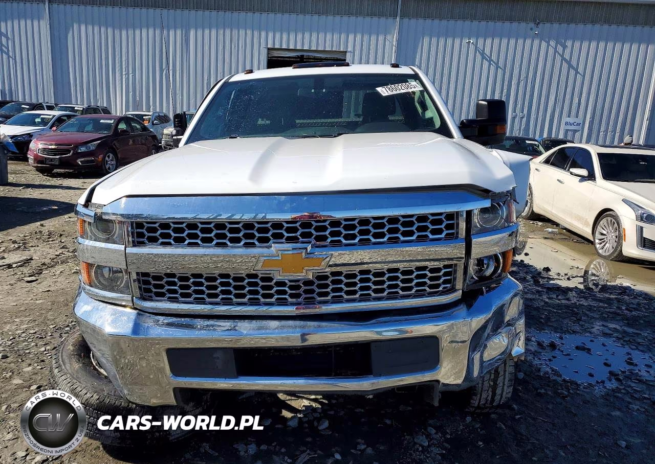 2019 Chevrolet Silverado K2500 Heavy Duty VIN:2GC2KREG8K1238506 - 5