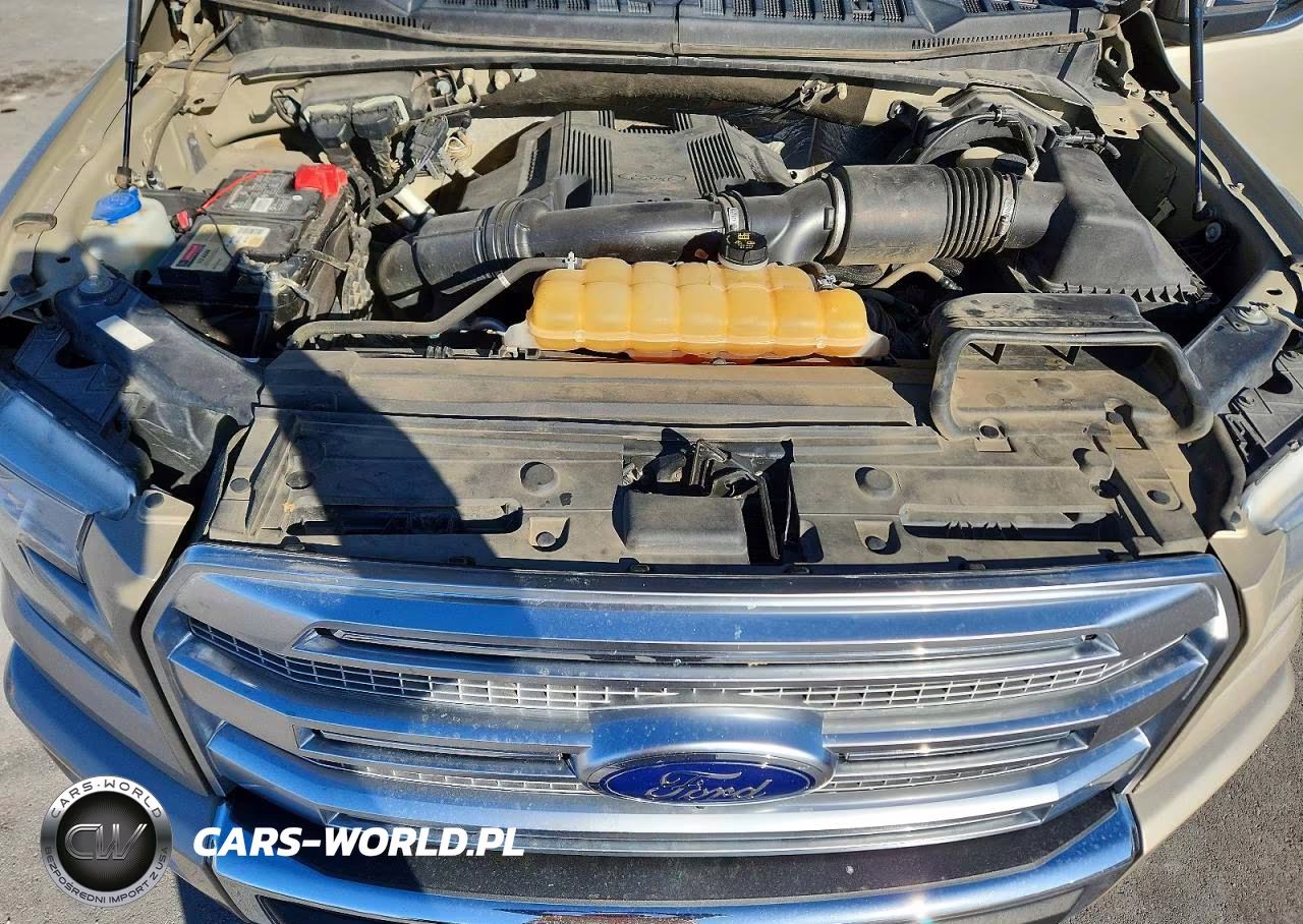 2017 Ford F150 Supercrew VIN:1FTEW1EG4HFA97566 - 11