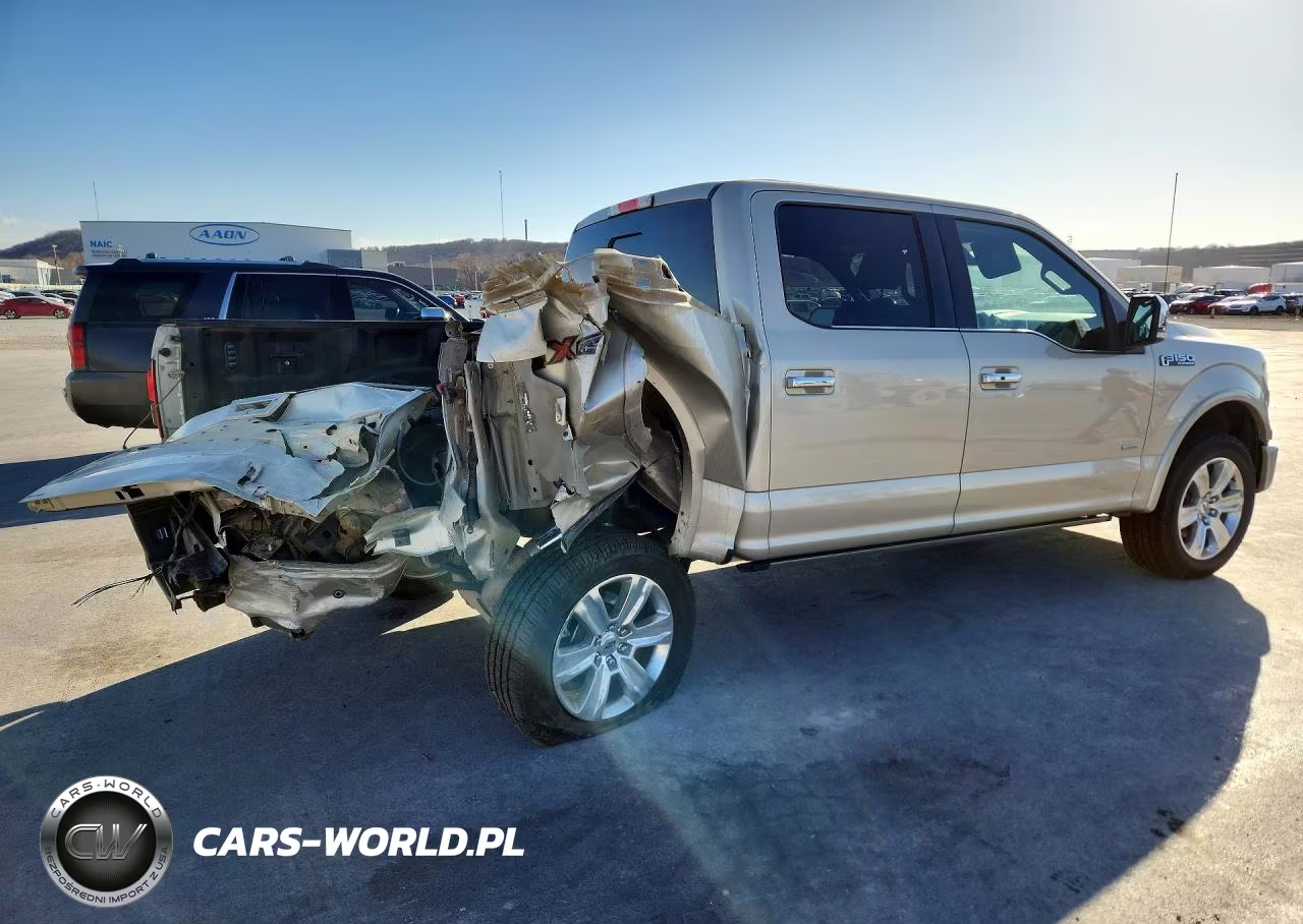 2017 Ford F150 Supercrew VIN:1FTEW1EG4HFA97566 - 3