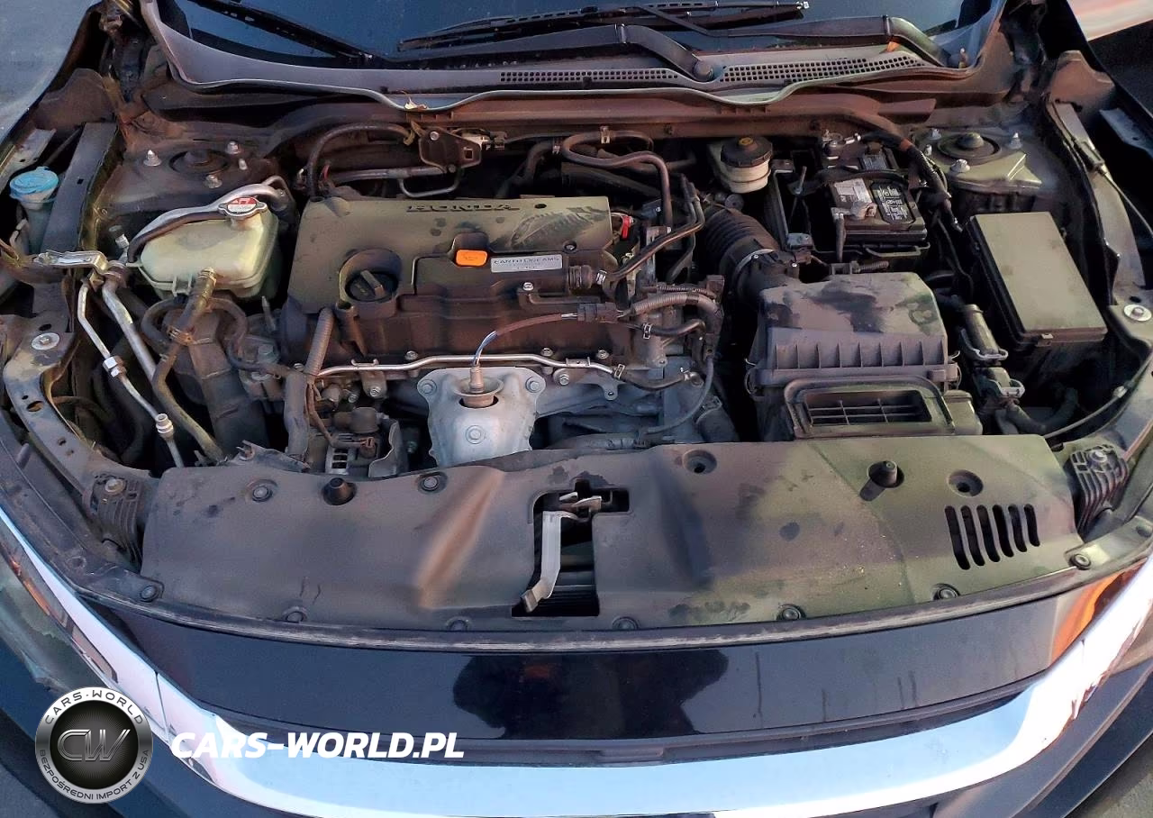 2017 Honda Civic Lx VIN:19XFC2E5XHE005601 - 11
